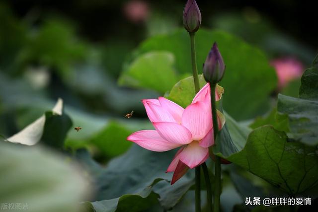 看淡生死的句子，看透生死经典句子（一切随缘；看淡人心）