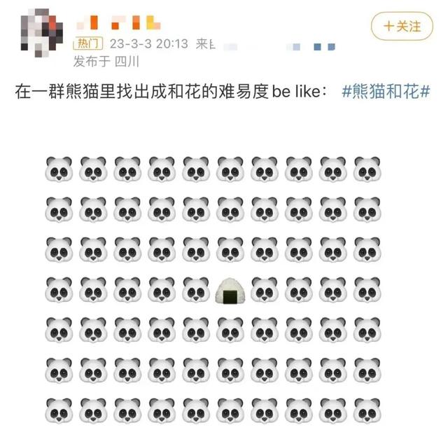 ​游客认错花花，就是那个三角形饭团~