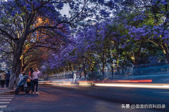 三月最值得去的旅游地方，9大绝美春色旅行地