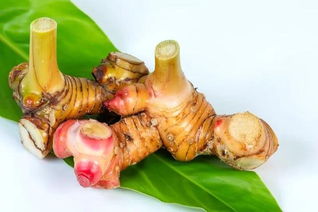 姜的种类和功效，姜的种类和功效和作用（12种姜科的辛香料）