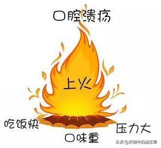 茯苓是热性还是凉性，茯苓是热性的吗（送你五味中药）