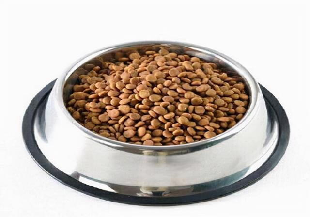 狗狗泪痕怎么快速解决，眼睛常见难题之泪痕