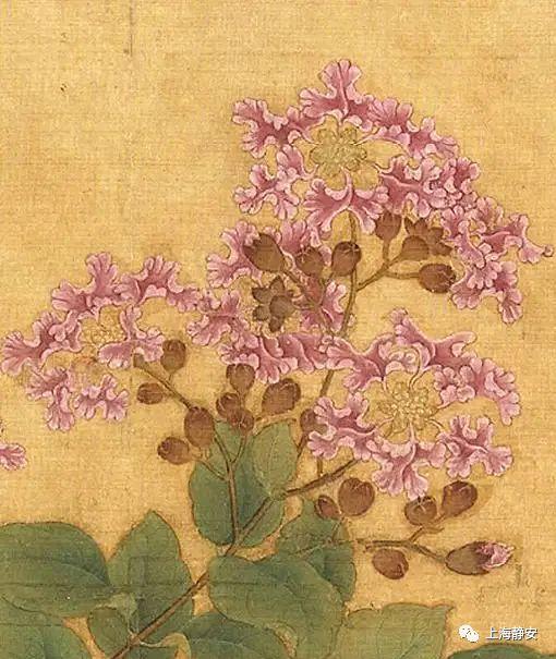 紫薇花的花语和寓意，紫薇花的花语和寓意和象征（“紫薇”在古诗中的特别含义你知道么）