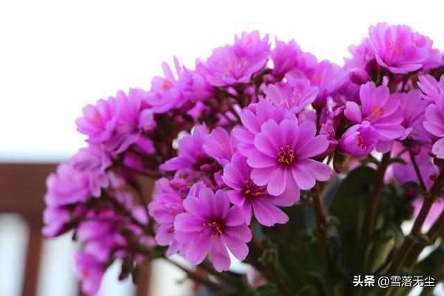 最佳的恋爱相处模式是怎样的，成熟的恋爱相处方式是怎样的（都能相守一生）