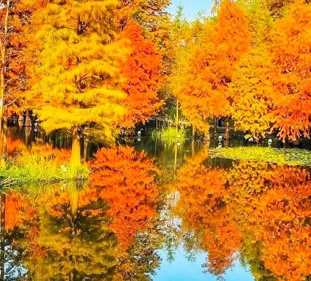 不如名师指路前面一句是什么，不如名师指路前面一句是什么成语（就是看透而不说透）