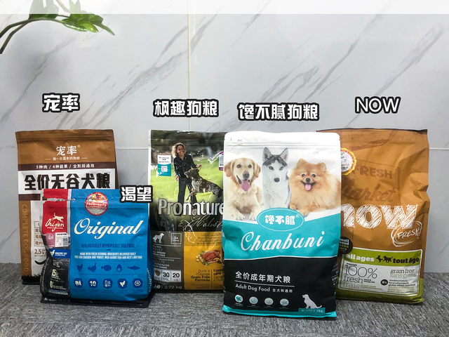 萨摩犬图片，为何萨摩耶如此受欢迎（萨摩耶犬介绍）