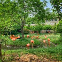 青岛景点介绍，青岛旅游景点介绍大全（10个推荐景点及周边玩法攻略）