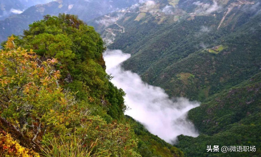 云南旅游攻略路线最佳路线（去云南旅游的攻略）