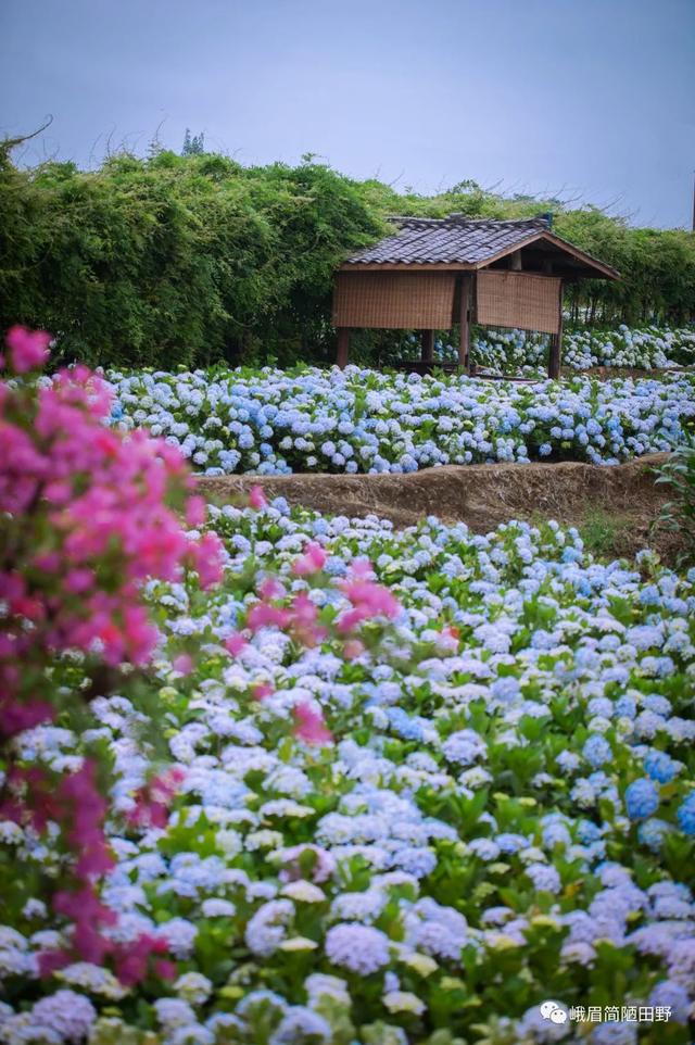 最值得去的10个小众旅行地，10个“治愈系”小众出游地