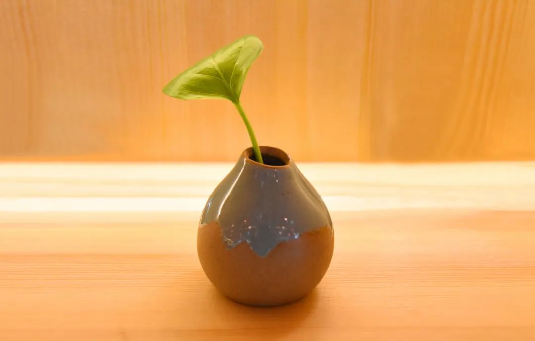 甘之如饴是什么意思，甘之如饴在爱情里什么意思（20则成语故事）