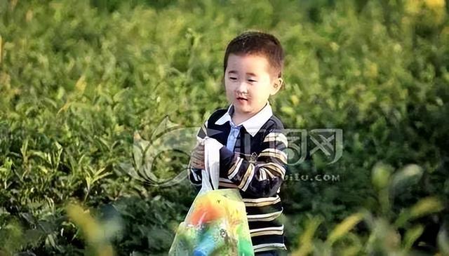 茶叶商业模式有哪些，如何使用消费金融模式卖茶叶