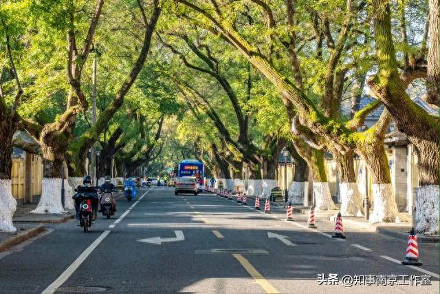 乌衣巷里游客多，老房老街（南京超实用旅行攻略）