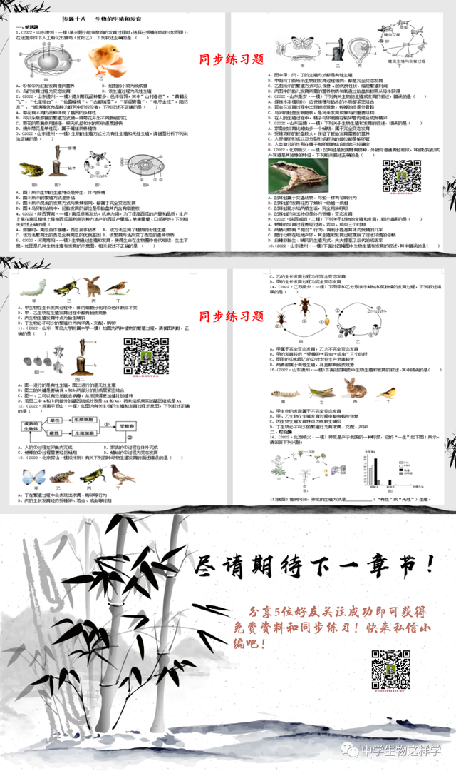 什么是无性生殖，什么叫做无性生殖（中考生物一轮复习）