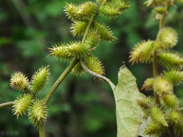 鼻炎流鼻涕怎么办，经常流鼻涕怎么治（一张方子告诉你）