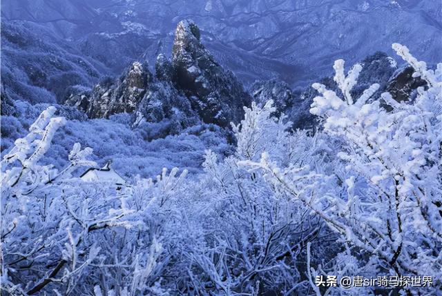 唯见青山不见君殚尽红颜如神明，殚尽红颜如神明什么意思（隐藏在洛阳的天上宫阙——老君山）