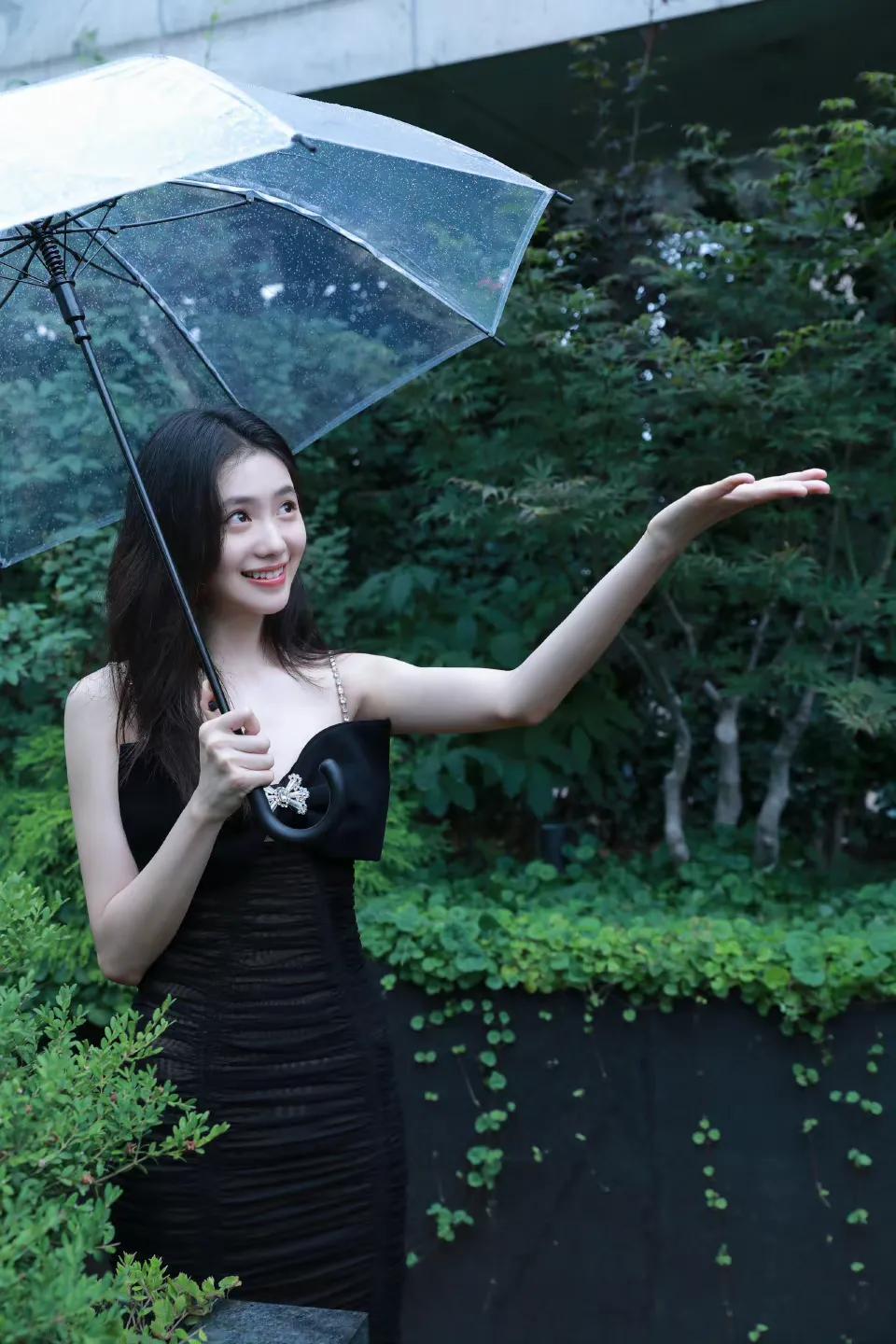 刘浩存红毯造型,美丽小黑裙