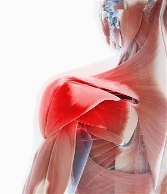 滑雪单板和双板哪个难，滑雪单板容易还是双板好学（你选单板or双板）