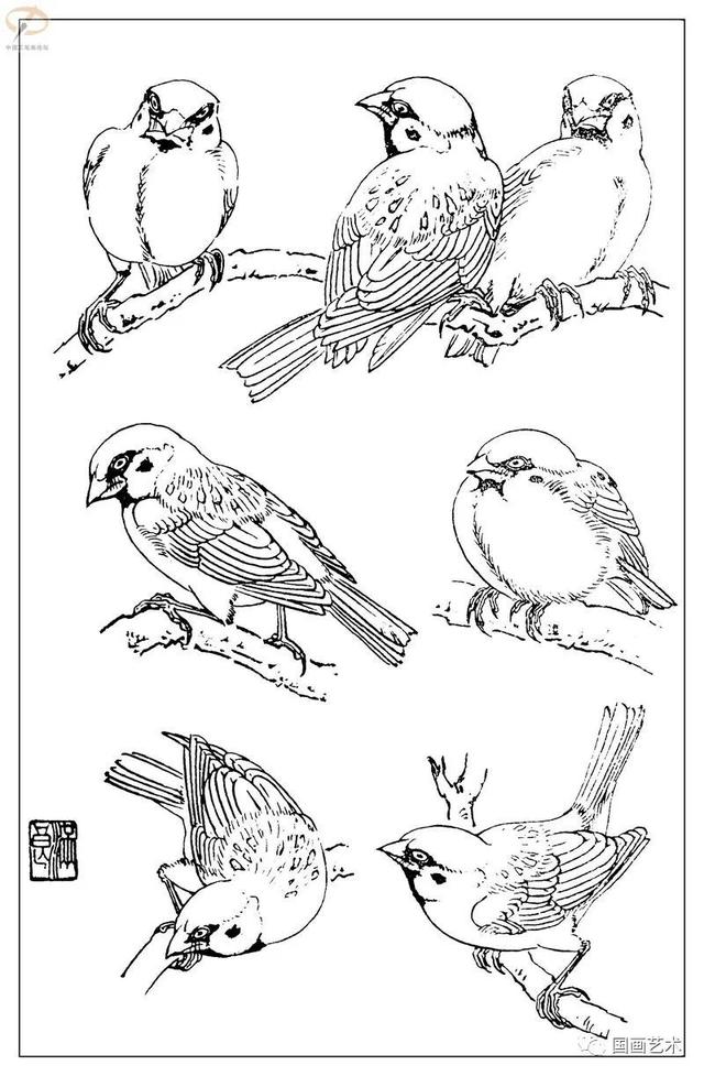 火的简笔画图片，火焰怎么画简笔画图片（画鸟参考——白描麻雀百图）