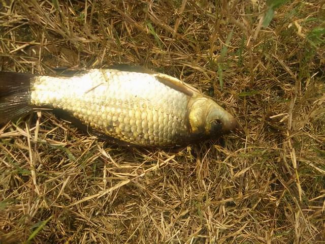 冬季野钓如何有效打窝子，冬季钓鱼怎样打窝（冬钓想要不空军）