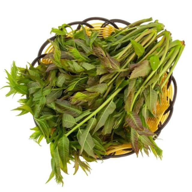 椿芽什么时候发芽，椿芽生长季节（关于香椿的消费提示）