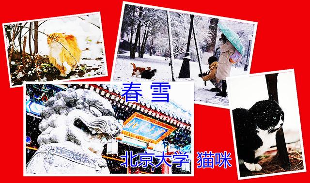 2022年春分具体时间 2022年春分过后是什么节气，2022年春分具体时间（你的人生可以更精彩）