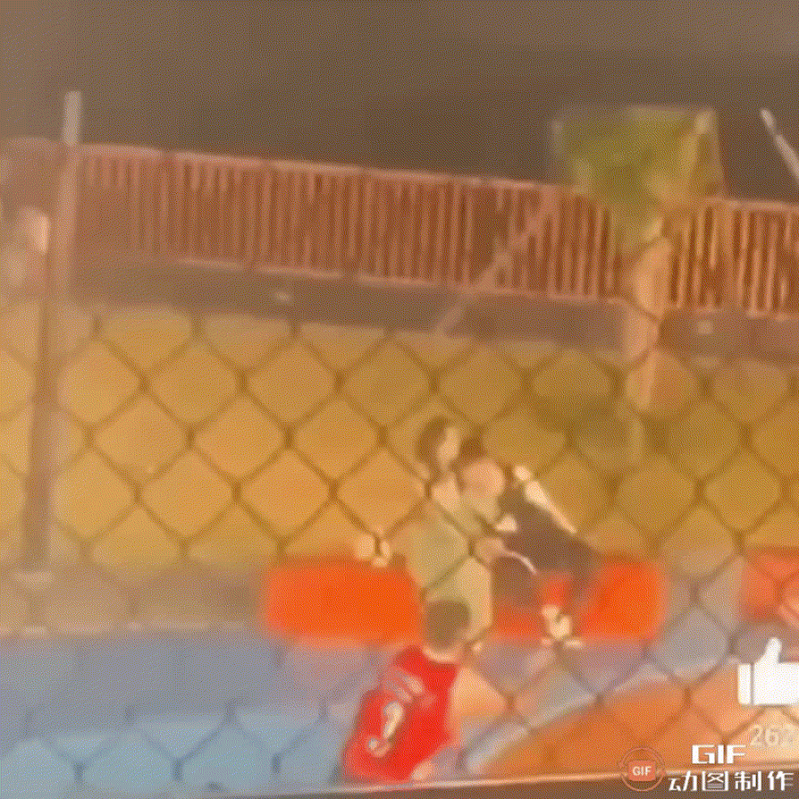 冬凌草的功效与作用，冬凌草片的功效与作用（跟胡军陈建斌合作《黑土无言》即将播出）