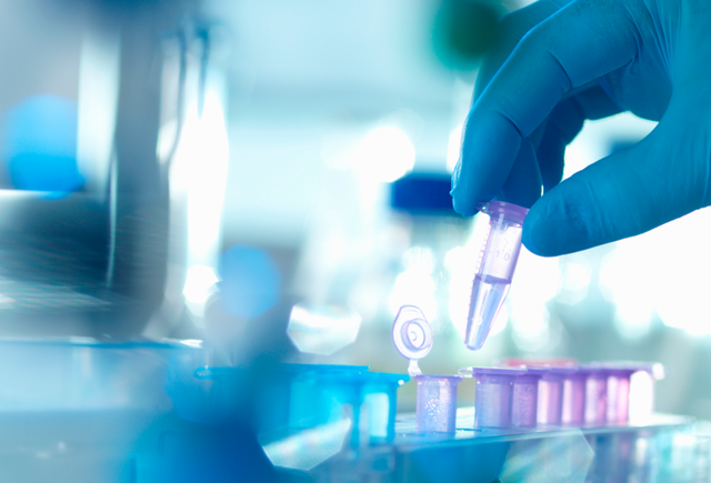 材料科学与工程学科评估排名，东北大学学科评估结果排名（2022材料科学与工程专业排名出炉）