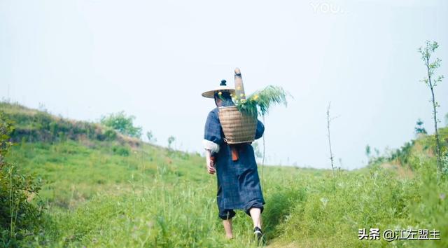 采菊东篱下悠然见南山全诗，在那个世外桃源里