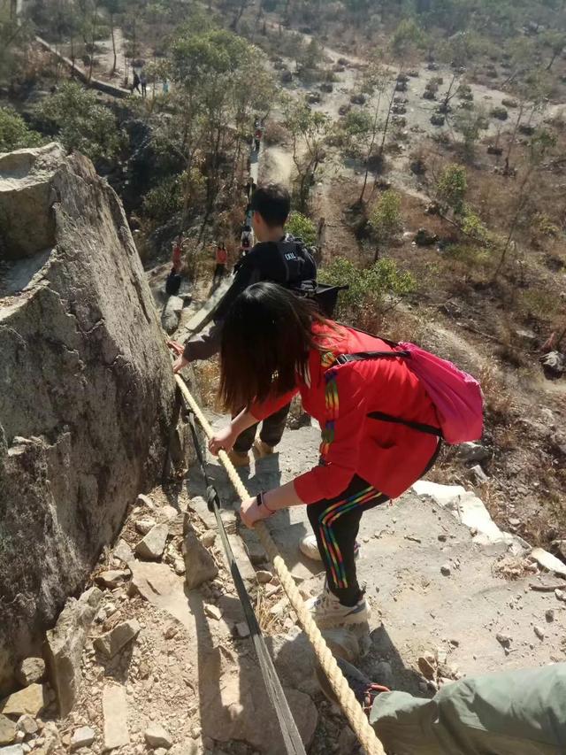 龙眼洞森林公园，广州龙洞森林公园介绍（广州徒步之渔龙线……）