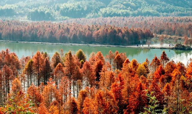 10种代表秋天的景物，秋天的景色有哪些（这10个小众绝美的秋景地）