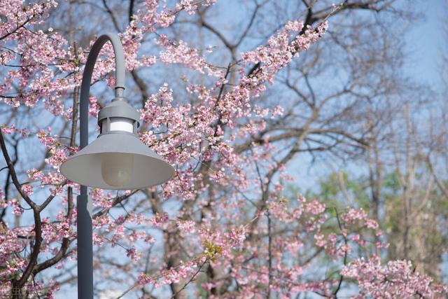 惦念一个人什么意思，思念一个人是什么意思（永远住在心里）