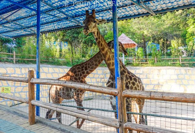 潮州旅游景点，广东省特色景点（动物园、冰雪世界、网红景点应有尽有）