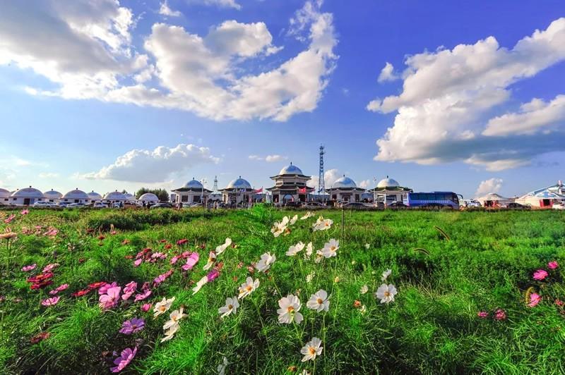 内蒙古女市长，内蒙古市长是谁（内蒙美女市长因爱美落马）