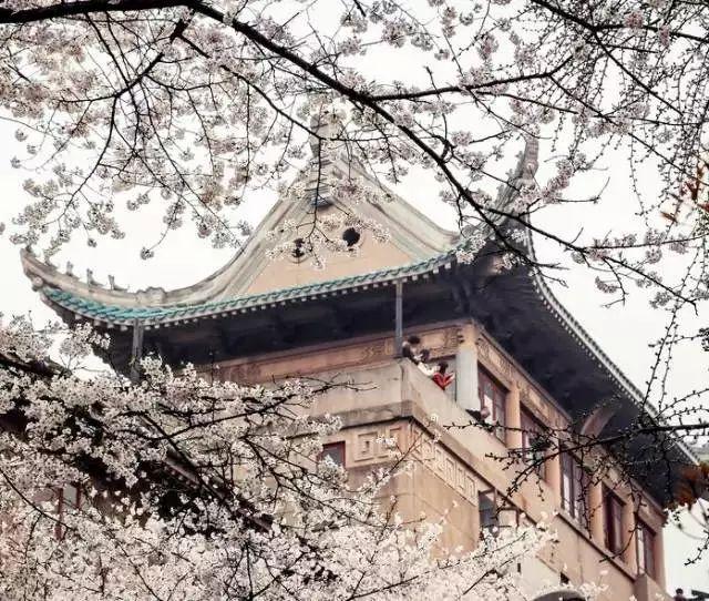 春天去哪里旅游好，这才是春天最值得去的20个地方（中国最美的30个地方）