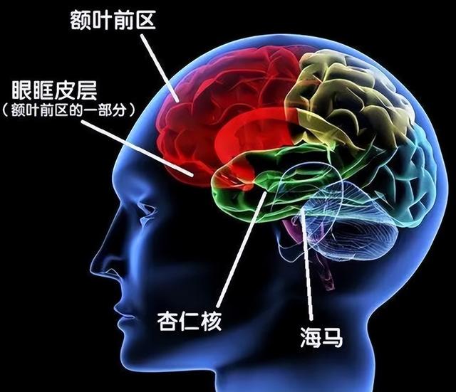 人类是繁衍还是繁殖，人类繁衍后代的画面（人类为什么没有像其他动物一样有）