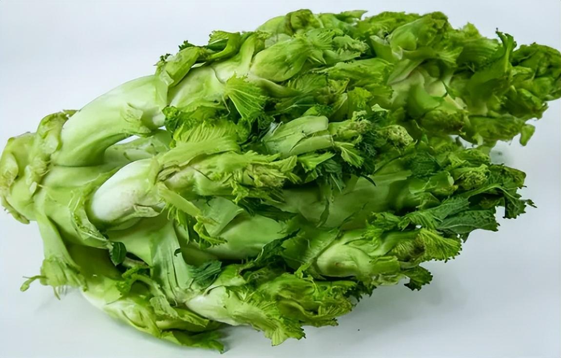 常用蔬菜名称及图片,南方常种也常吃的5种蔬菜-名字-荣耀易学
