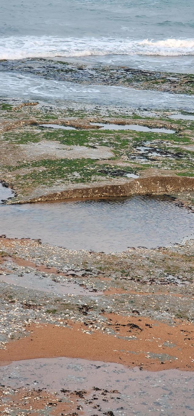 上海到青岛多远，上海到青岛的路程（上海青岛往返1400公里全程无高速沿途城市蜻蜓点水游）