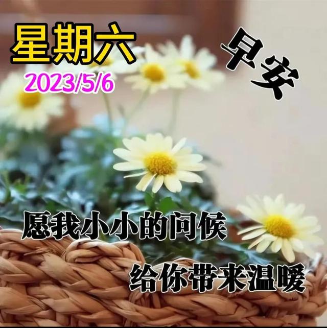 早安问候语每日更新，早上好短句早安问候语每日更新（亲切的暖心问候语）