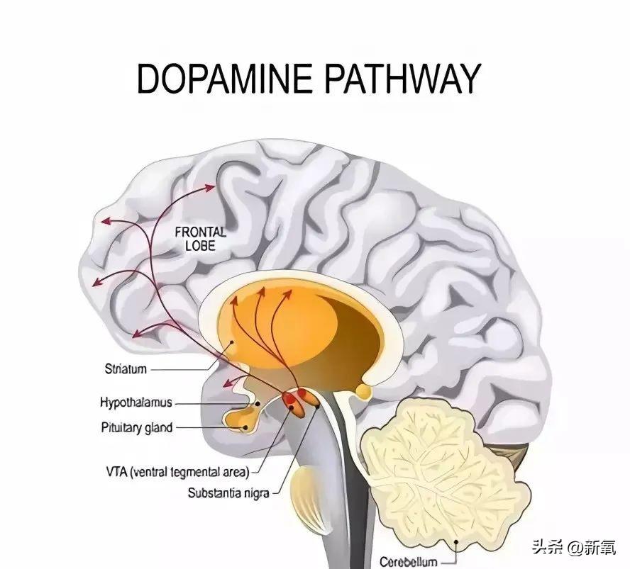 朴敏英演的电视剧，朴敏英十部经典电视剧（朴敏英的《月水金火木土》甜疯了）