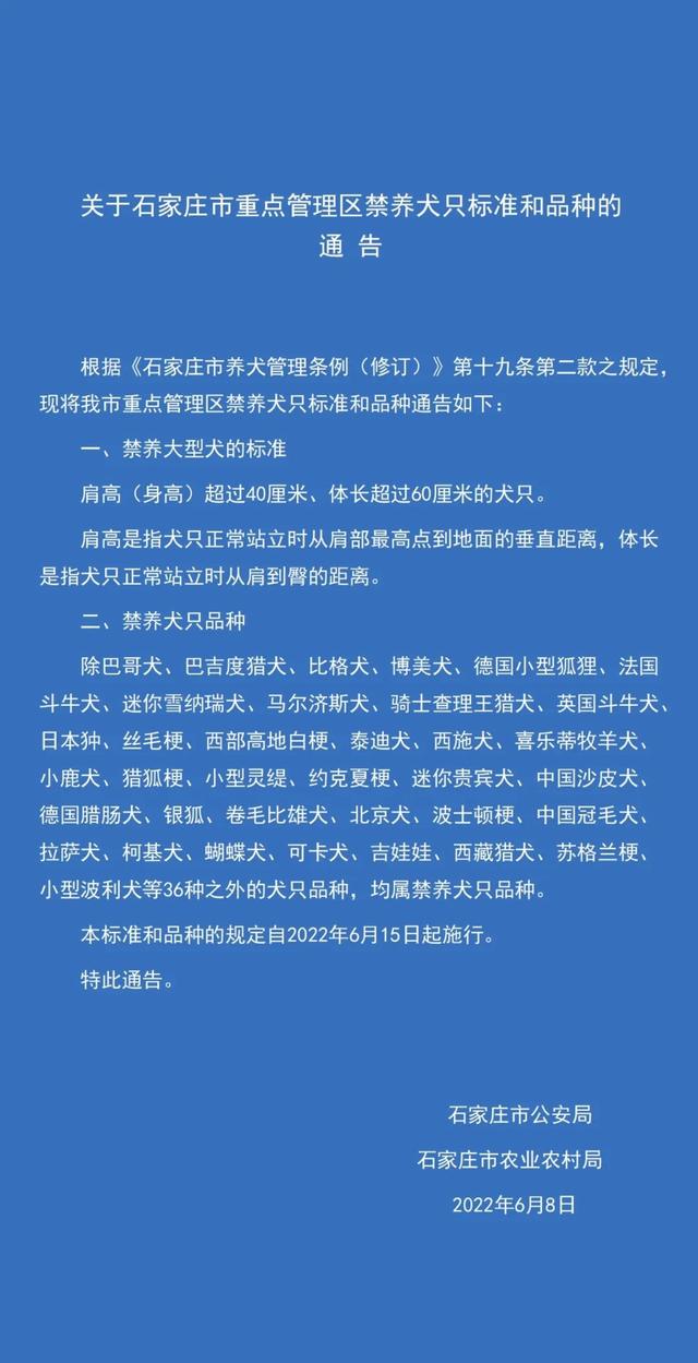 巴吉度犬禁养吗，巴吉度犬为什么没人养（石家庄市发布重点管理区禁养犬只标准和品种）