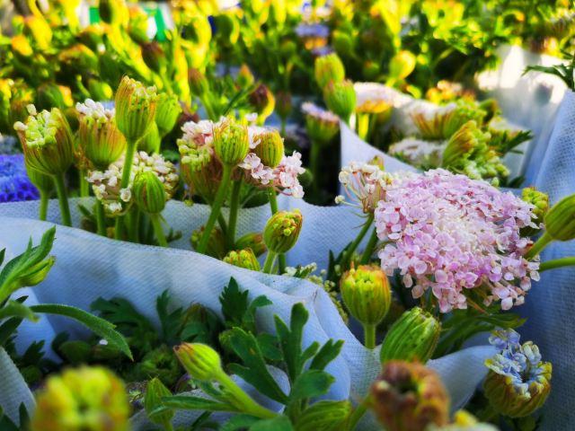 昆明一日游最佳景点一览表，昆明32个最适合一日游的免费景点（四季如春的昆明很适合旅游）