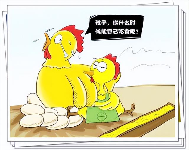 公积金贷款买车需要什么条件公积金贷款买车需要什么条件