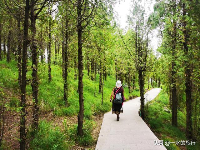 青州旅游景点大全，青州有哪些旅游景点（齐鲁第一幽谷青州黄花溪）