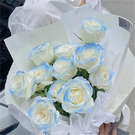 关于玫瑰的文案，玫瑰的唯美文案（有关玫瑰高级又浪漫的文案）