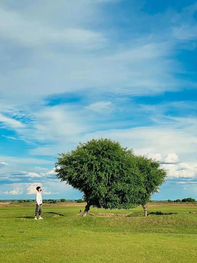 汽车模型店，BALANCE合作车房展示第二期（汽车模型多少钱）