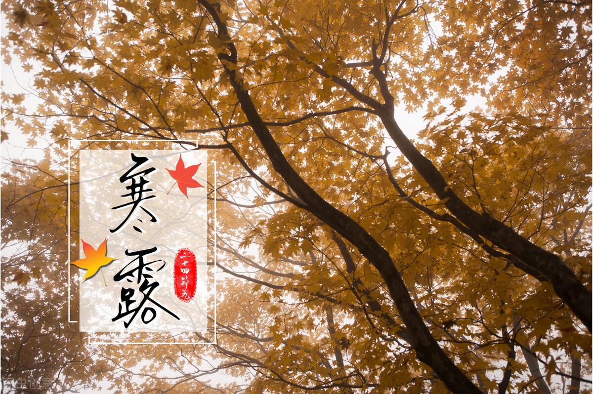 寒露将至，这5种海鱼最鲜美！老饕公认，错过再等一年，赶紧尝鲜正当时