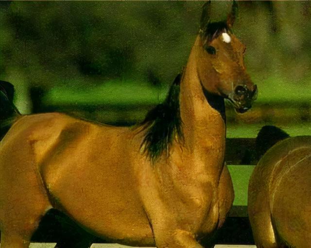 的卢马的读音，《三国演义》电视剧“的卢马”（汉字探源：的字的来历及其本义）