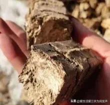 农村做什么致富，当今社会在农村做什么能致富（三个一般人不知道的赚钱项目）