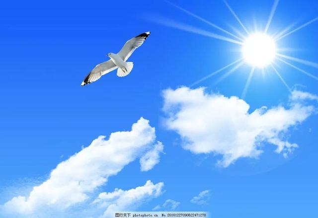 蒙难的蒙是什么意思，六年级语文《草原》一课中的考试热点