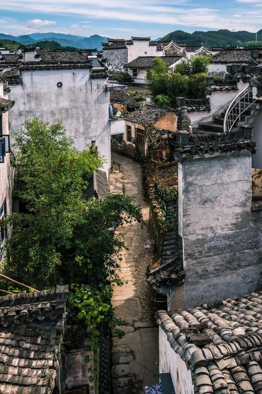 桃花源水上人家（寻一处静谧古镇小住几日）